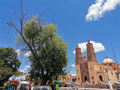 Posada Cocomacan – Dolores Hidalgo Cuna de la Independencia Nacional – Guanajuato